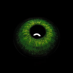 Morena Green Coloured Contact Lenses