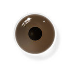 Lightbringer Light Brown Prosthetic Lenses