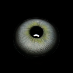 Seren Gray Coloured Contact Lenses