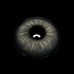 Margarida Gray Coloured Contact Lenses