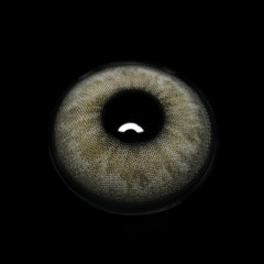Asteria Gray Coloured Contact Lenses