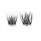 Bianca Black Lashes - 12mm