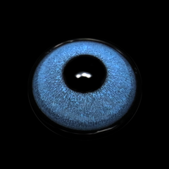 Cosplay Fluorescent Blue Coloured Contact Lenses