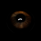 Americano Brown Prescription Coloured Contact Lenses