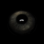 Americano Gray Prescription Coloured Contact Lenses