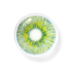 New York Green Coloured Contact Lenses