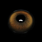 Stormy Brown Coloured Contact Lenses