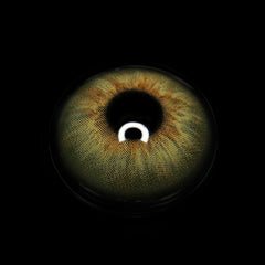 Ludmila Brown Coloured Contact Lenses