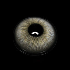 Pallas Gray Coloured Contact Lenses