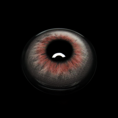 Andreia Gray Coloured Contact Lenses