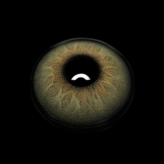 Alvar Brown Coloured Contact Lenses