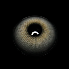 Lilian Gray Coloured Contact Lenses