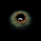 Asherah Green Coloured Contact Lenses