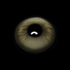 Graca Brown Coloured Contact Lenses