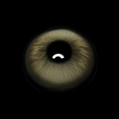Graca Brown Coloured Contact Lenses