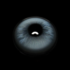 Graca Blue Coloured Contact Lenses