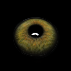 Flavia Green Coloured Contact Lenses