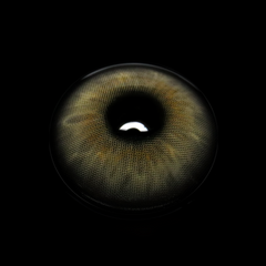 Flavia Gray Coloured Contact Lenses