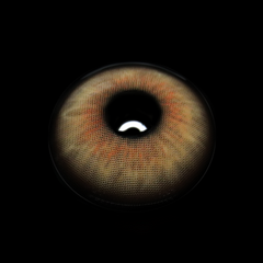 Flavia Brown Coloured Contact Lenses