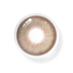 Flavia Brown Coloured Contact Lenses
