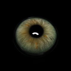 Ligia Green Coloured Contact Lenses