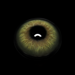 Bibiana Green Coloured Contact Lenses