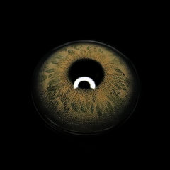 Kelly Brown Coloured Contact Lenses
