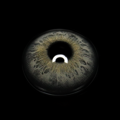 Kelly Gray Coloured Contact Lenses