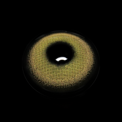 Charlotte Brown Coloured Contact Lenses