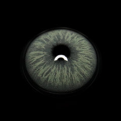Cyrene Frost Gray Coloured Contact Lenses