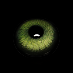 Yaqoot Green Coloured Contact Lenses