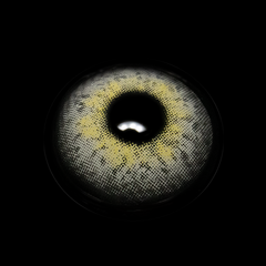 Elsa Gray Coloured Contact Lenses