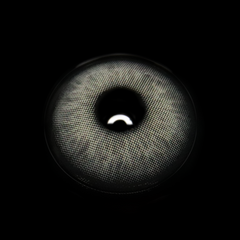 Celia Gray Coloured Contact Lenses