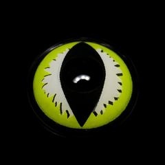 Cosplay Cat Eye Lash Green Coloured Contact Lenses