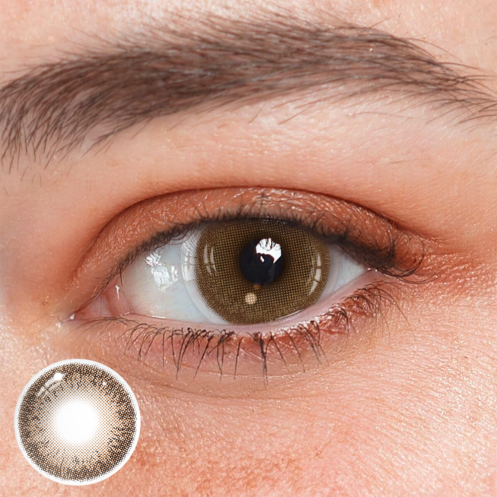 Zaniah Sepia Brown Daily (10 Pcs) Coloured Contact Lenses Main image