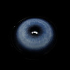 Cosplay KOI Blue Coloured Contact Lenses - BEAUEYE (UK)
