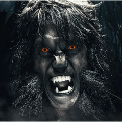 Cosplay WOLF EYES Red Coloured Contact Lenses - BEAUEYE (UK)