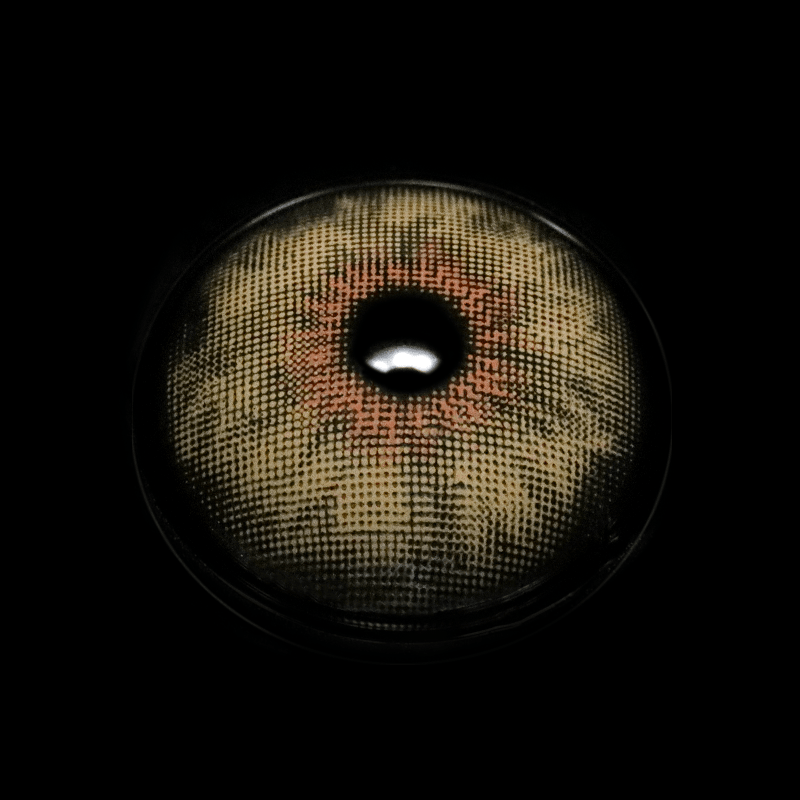 Cyrene Brown Coloured Contact Lenses - BEAUEYE (UK)