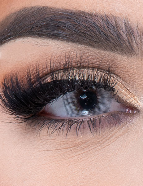 BEESWAX PONY GRAY Coloured Contact Lenses Main image