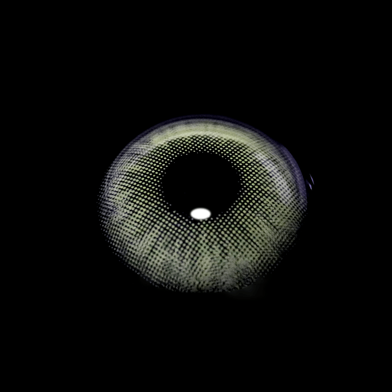 Dawn Green Coloured Contact Lenses - BEAUEYE (UK)