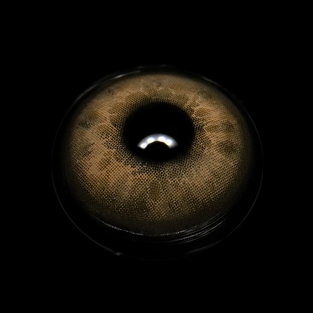 Faylinn Brown Coloured Contact Lenses - BEAUEYE (UK)