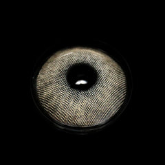 Gimlet Gray Coloured Contact Lenses - BEAUEYE (UK)