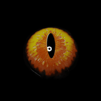 Halloween DragonMaid Yellow Coloured Contact Lenses - BEAUEYE (UK)