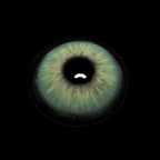 Perla Light Green Prescription Coloured Contact Lenses - BEAUEYE (UK)