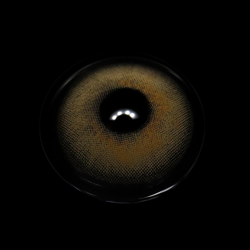 Pina Brown Coloured Contact Lenses - BEAUEYE (UK)